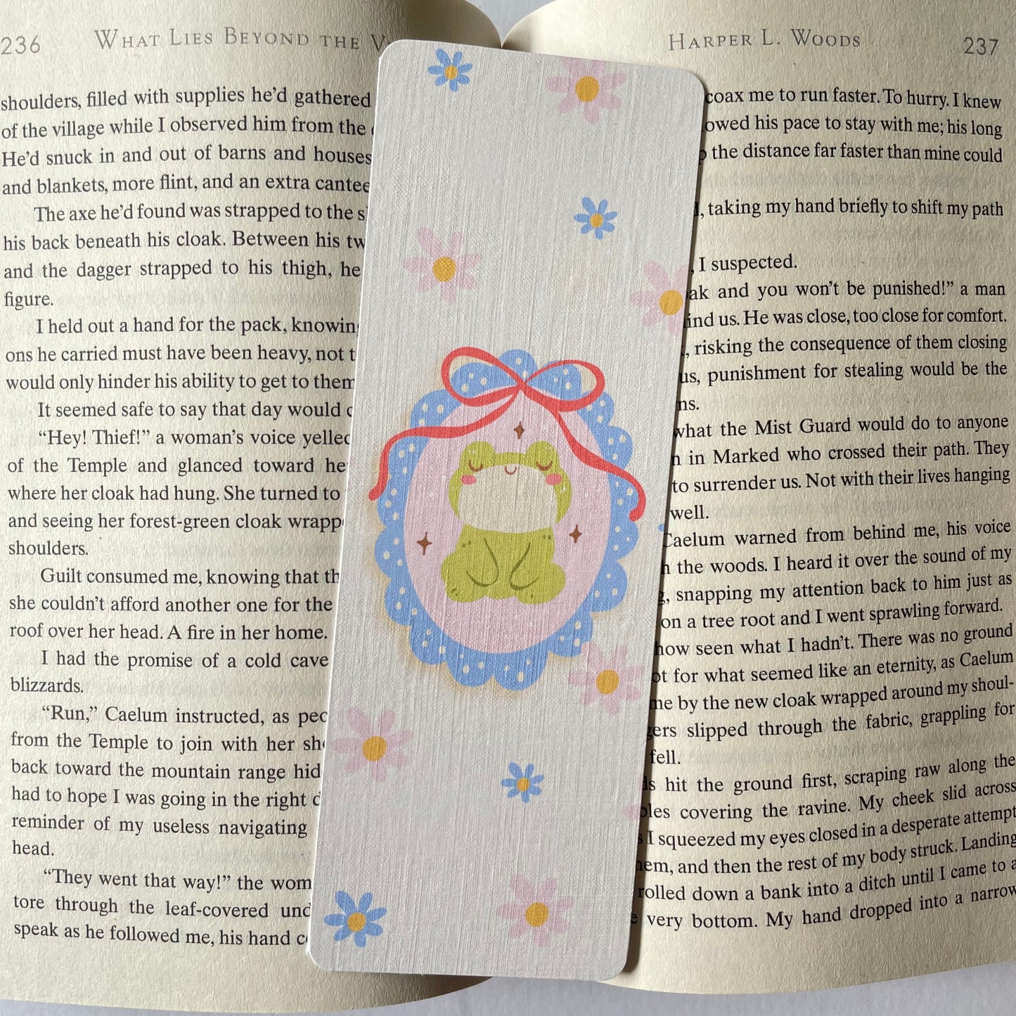 Framed Frog Bookmark