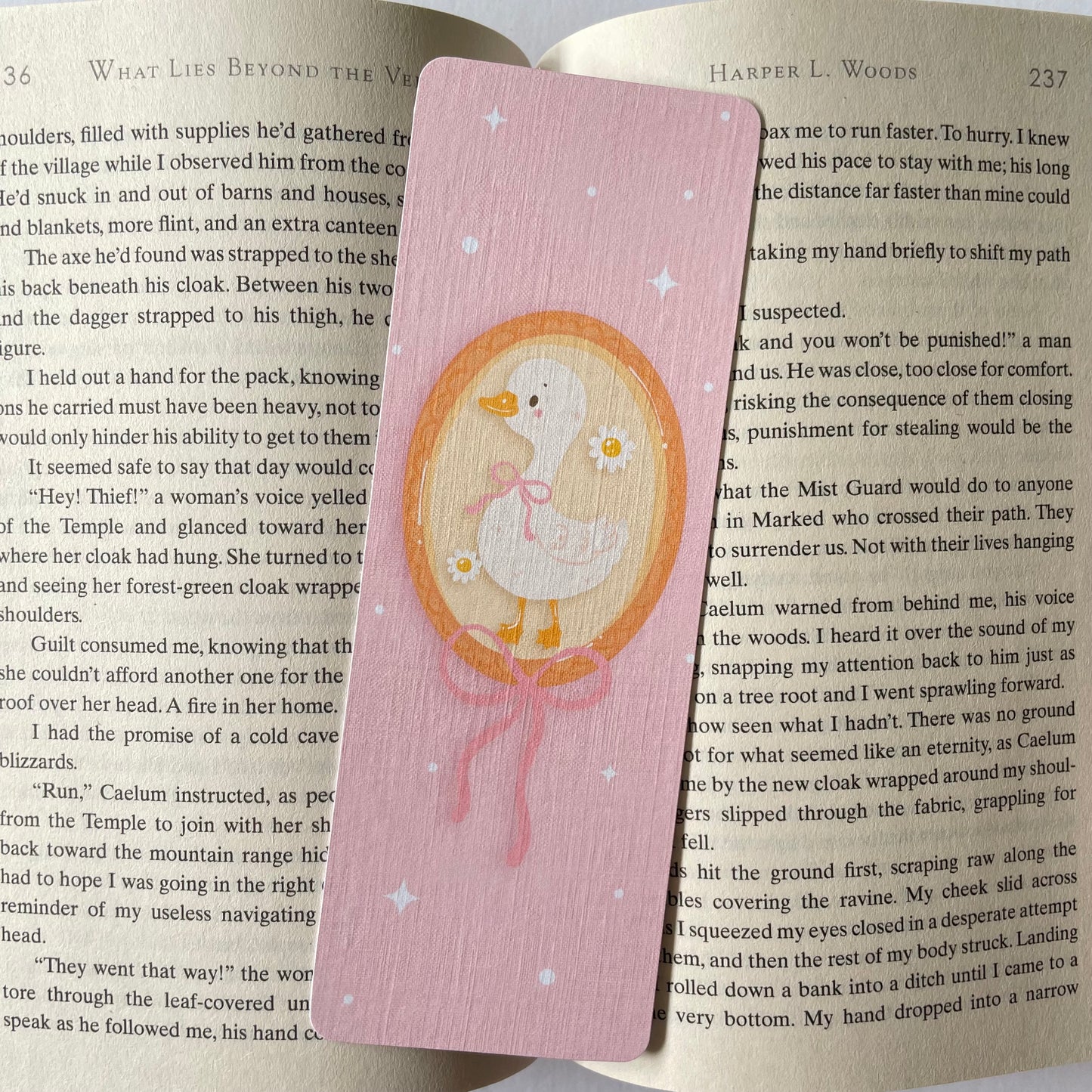 Framed Goose Bookmark