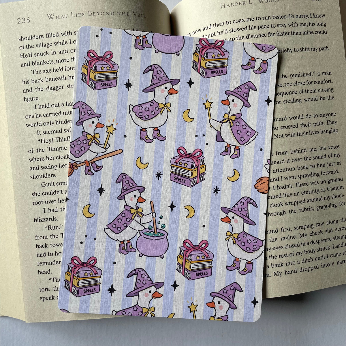 Witchy Geese Kindle Insert