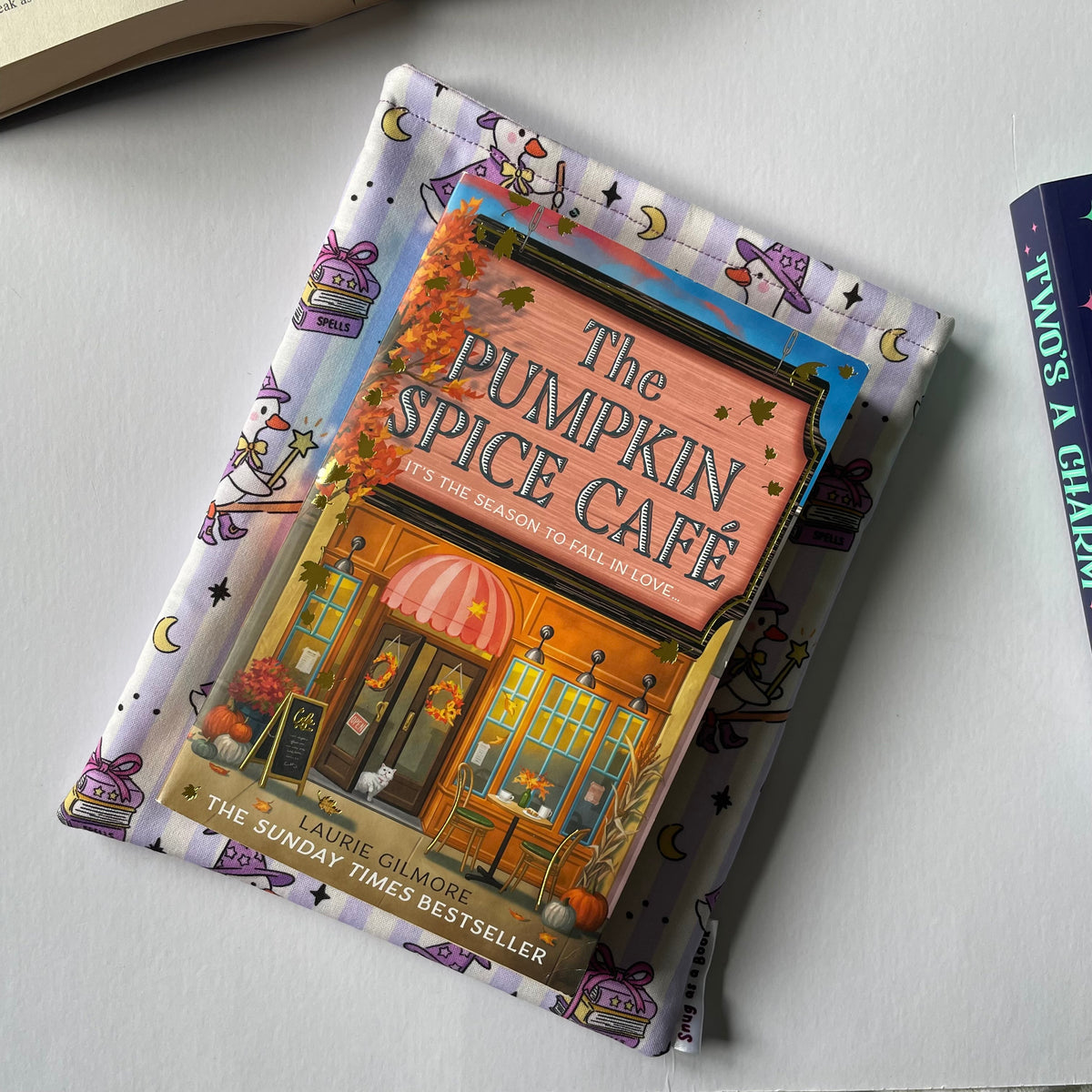 Witchy Geese Book Sleeve